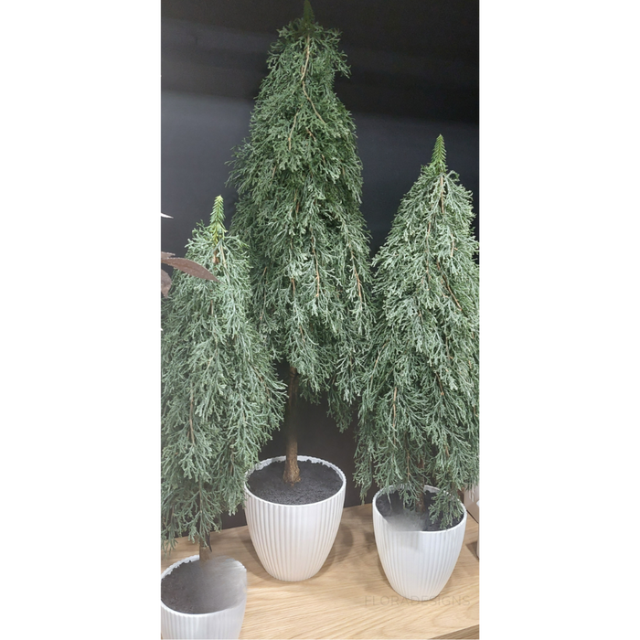 Tree Pine Cypress in Pot Green 50cm - Pack of 6