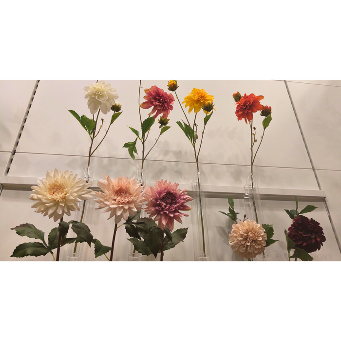 Dahlia Pompon 65cm Yellow Pack of 12