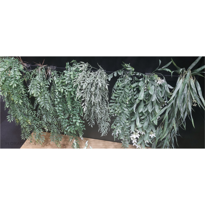Stephanotis Hanging Bush White Green 74cm Pack of 6