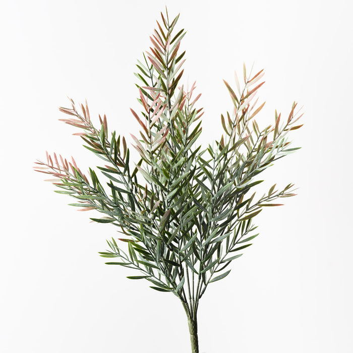 Acacia Leaf Bush Grey Pink 45cm Set of 12
