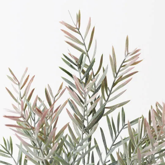 Acacia Leaf Plant Grey Pink 43cm Pack of 6