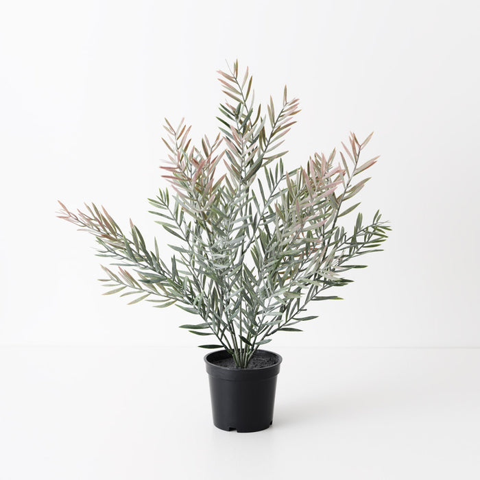 Acacia Leaf Plant Grey Pink 43cm Pack of 6