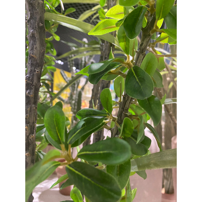 Alhagi Tree Green 183cm Pack of 2