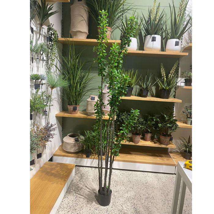 Alhagi Tree Green 183cm Pack of 2
