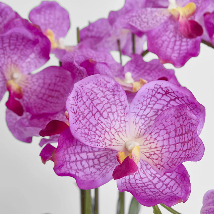 Amira Arrangement 65cm Purple in Black Pot
