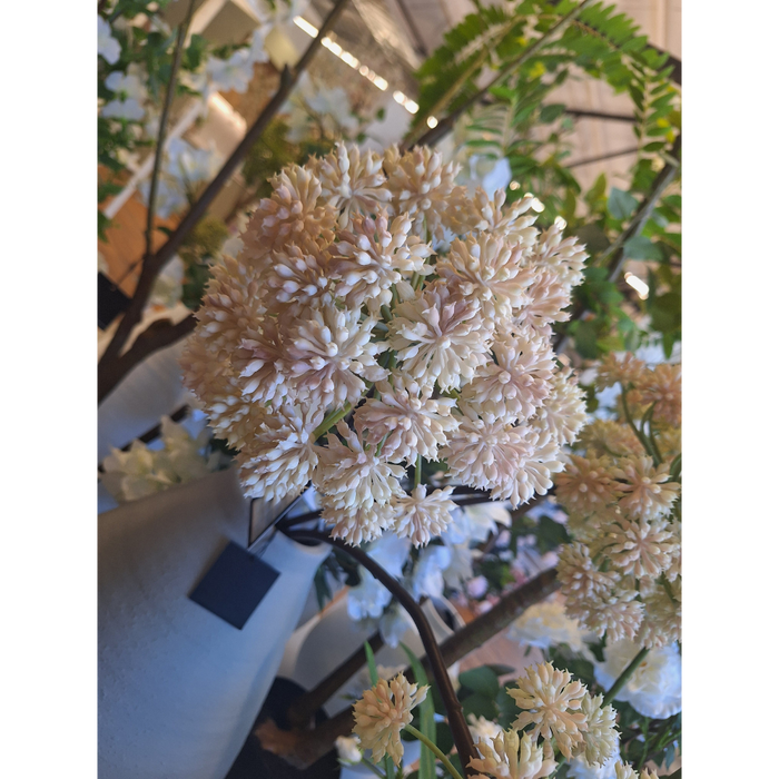 Angelica White Pink 98cm - Pack of 6