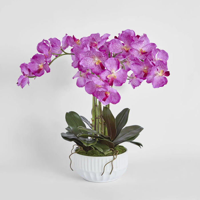 Arianne Arrangement 65cm Purple in White Pot