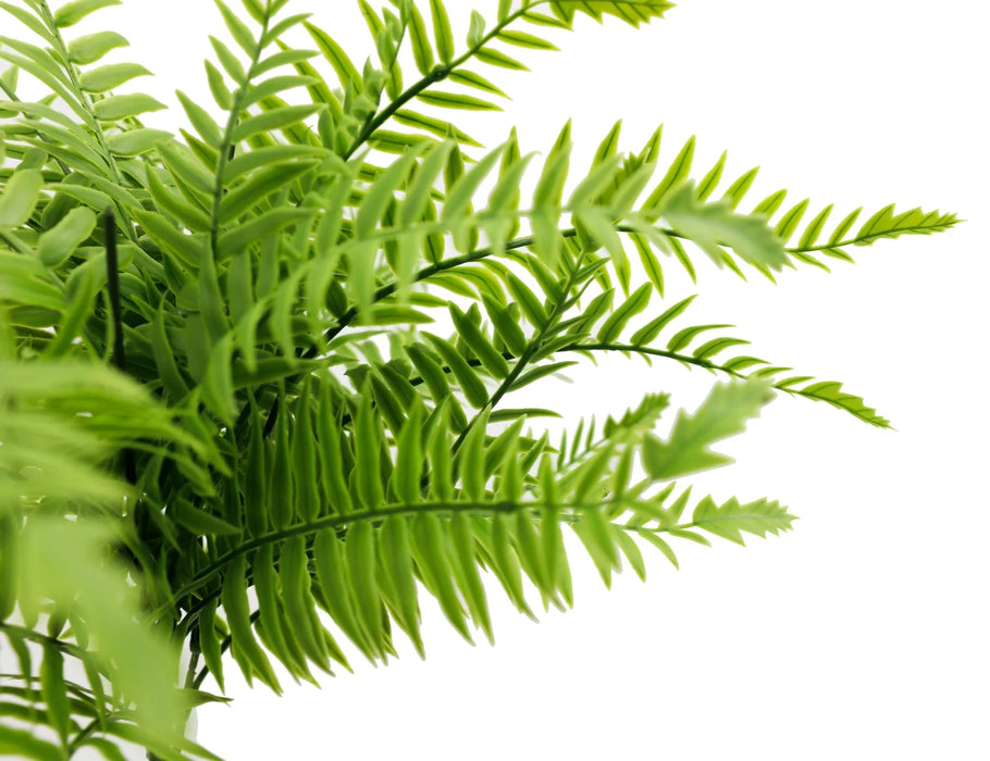 Artificial Lady Fern UV Resistant 40cm Set of 3