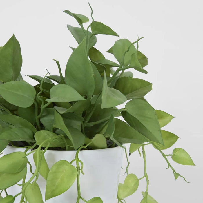 Artificial Leaves in White Plastic Pot 35cm Set of 2