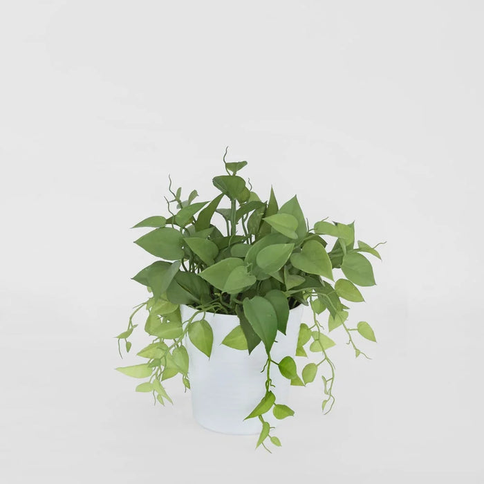 Artificial Leaves in White Plastic Pot 35cm Set of 2