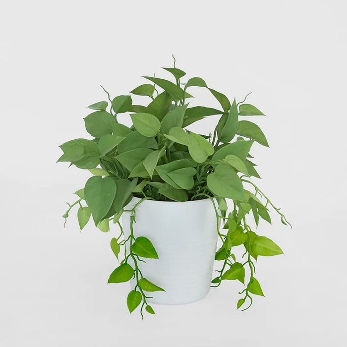 Artificial Leaves in White Plastic Pot 35cm Set of 2