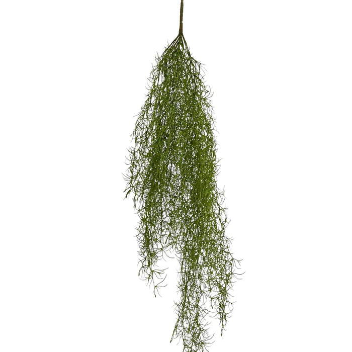 Asparagus Hanging Spray 138cm Green Pack of 12