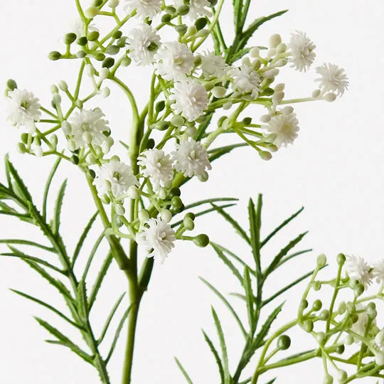 Babys Breath Spray White 70cm - Pack of 24