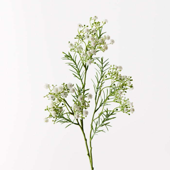Babys Breath Spray White 70cm - Pack of 24