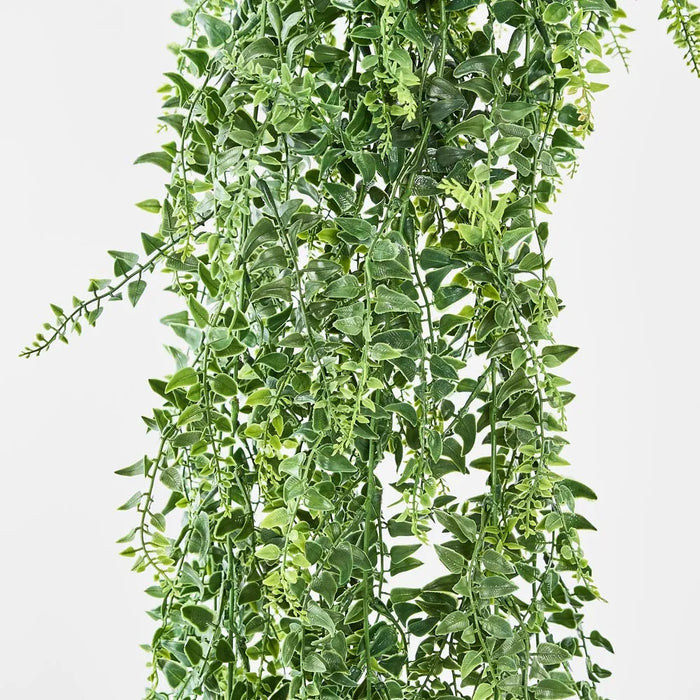 Baker Fern Vine Hanging 67cm Green Pack of 12
