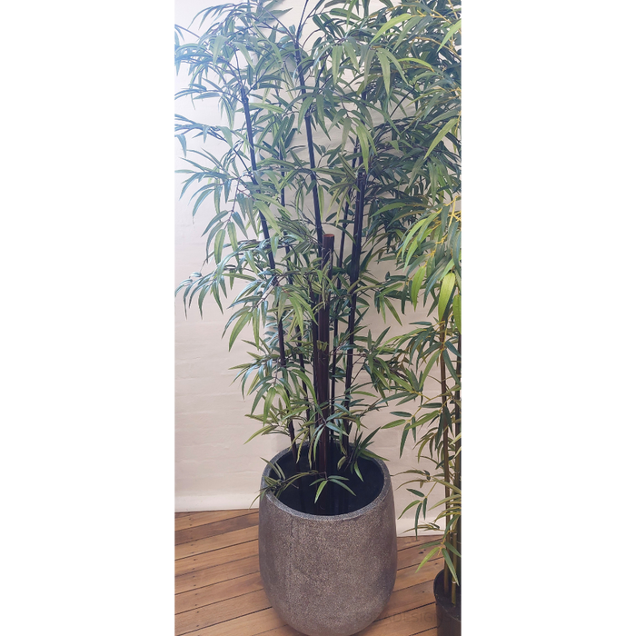 Bamboo Plant Black 213cm Pack of 2