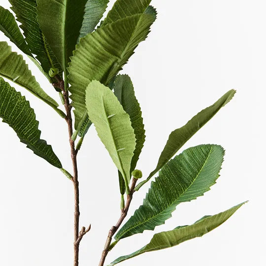 Banksia Leaf Spray 79cm Green Set of 12