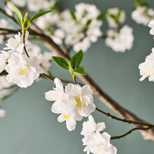Blossom Tree White 300cm