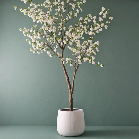 Blossom Tree White 300cm