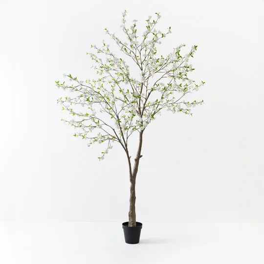 Blossom Tree White 300cm