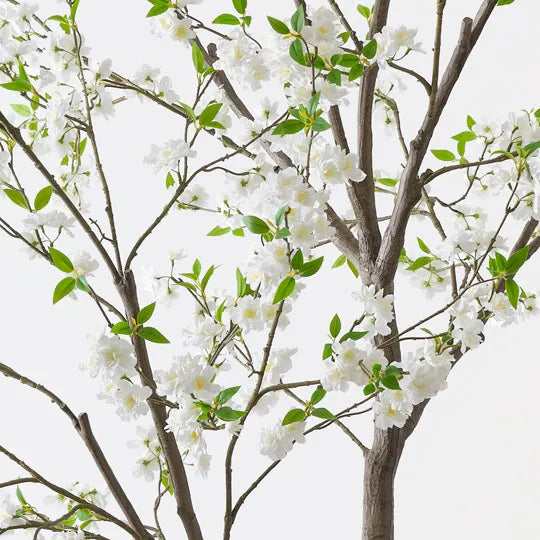 Blossom Tree White 300cm