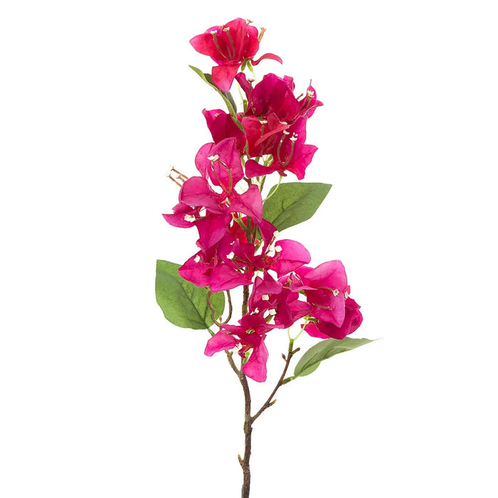 Bougainvillea Spray 75cm Fuschia Pack of 12