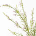 Calluna Spray Cream Pink 104cm - Pack of 12