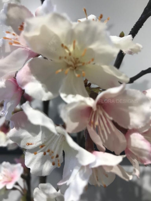 Cherry Blossom Cream Pink 105cm Pack of 12