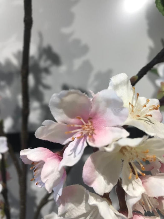 Cherry Blossom Cream Pink 105cm Pack of 12