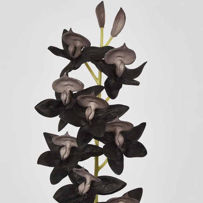 Cycnoches Orchid Stem Real Touch 84cm Dark Black Pack of 12