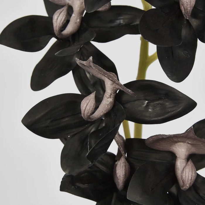 Cycnoches Orchid Stem Real Touch 84cm Dark Black Pack of 12