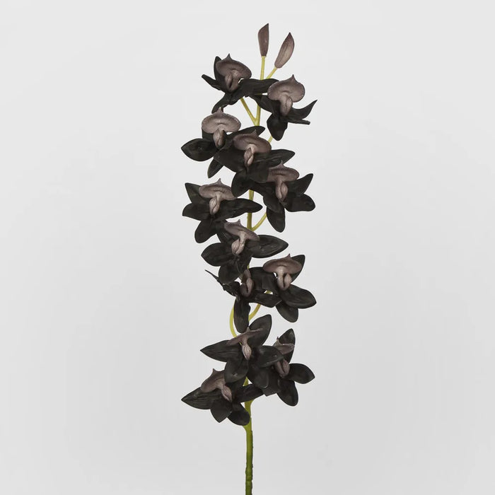Cycnoches Orchid Stem Real Touch 84cm Dark Black Pack of 12