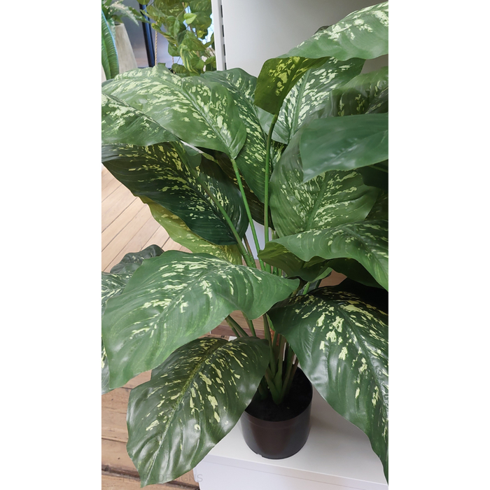 Dieffenbachia Plant Green Yellow 111cm Pack of 2