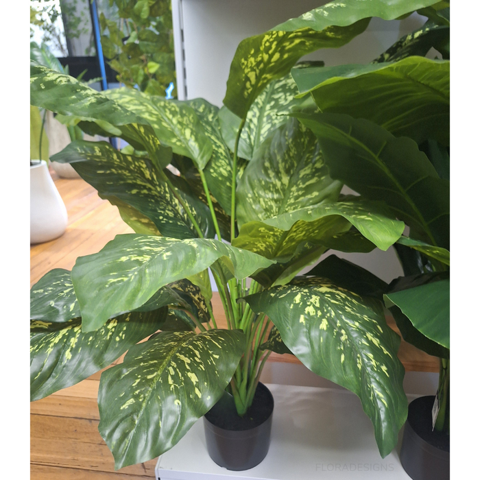 Dieffenbachia Plant Green Yellow 111cm Pack of 2