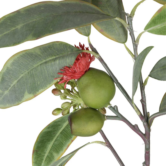 Eucalyptus Flower Spray With 15 leaves 64cm Red Pack of 12
