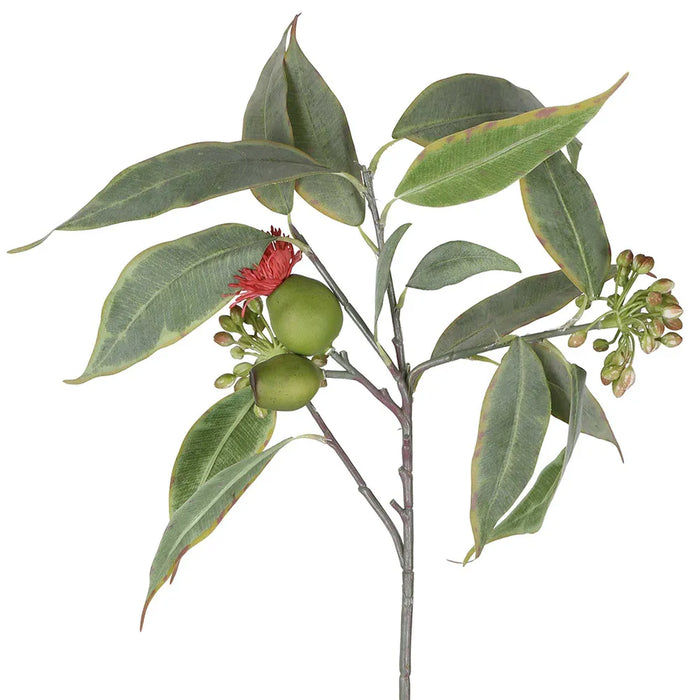 Eucalyptus Flower Spray With 15 leaves 64cm Red Pack of 12