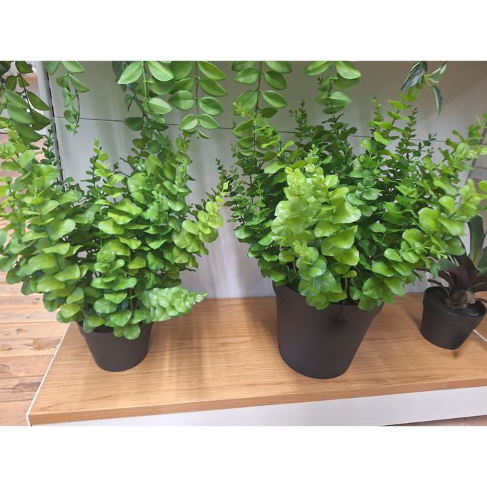 Eucalyptus Plant Green 68cm