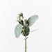 Eucalyptus Tetragona Spray Grey Green 35cm - Pack of 12
