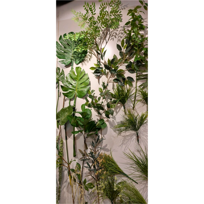 Split-Leaf Philodendron Monstera 94cm Pack of 12
