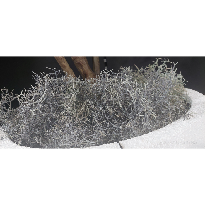 Moss Spanish Bush Coffee 38cm Pack of 12