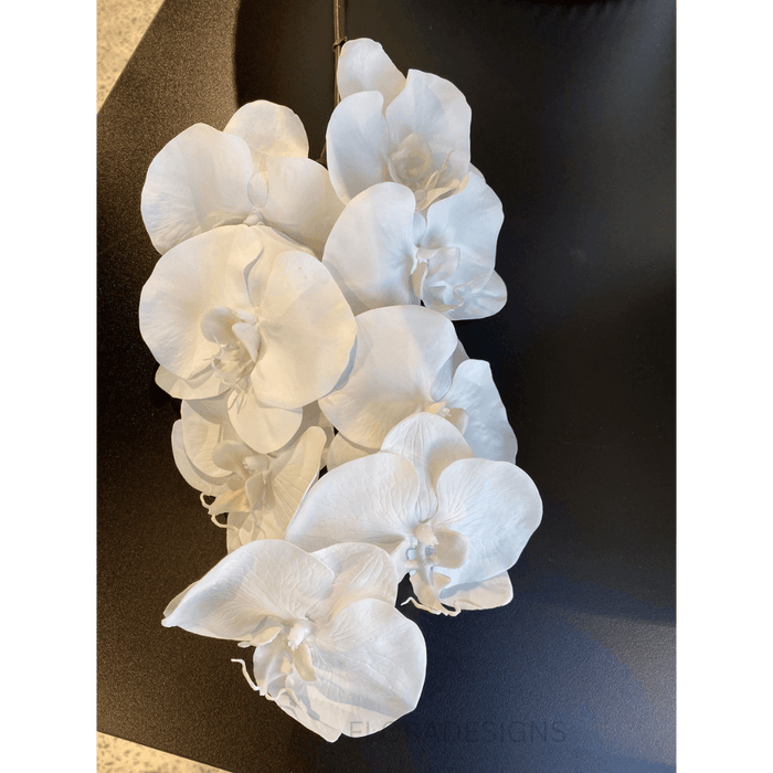 Orchid Phalaenopsis Infused Stem 96cm Winter White Pack of 12