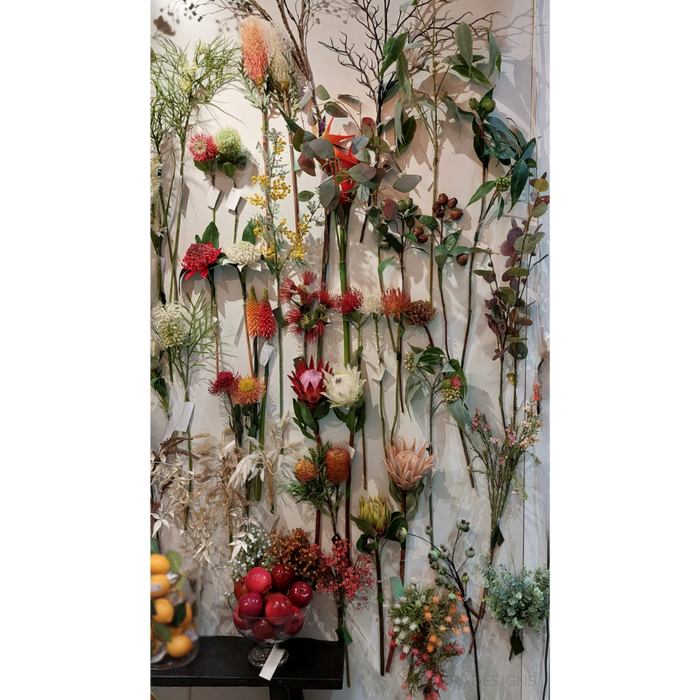 Dried Look Banksia Stem Cream 75cm Pack of 12