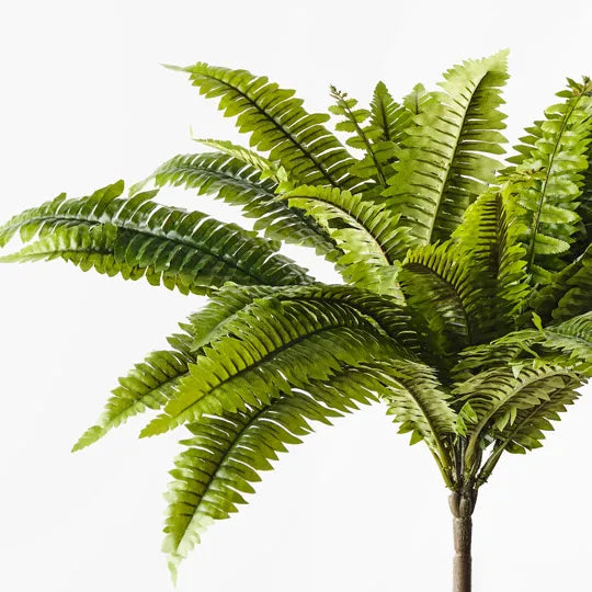 Fern Boston Bush 45cm x 100cm Green Set of 6