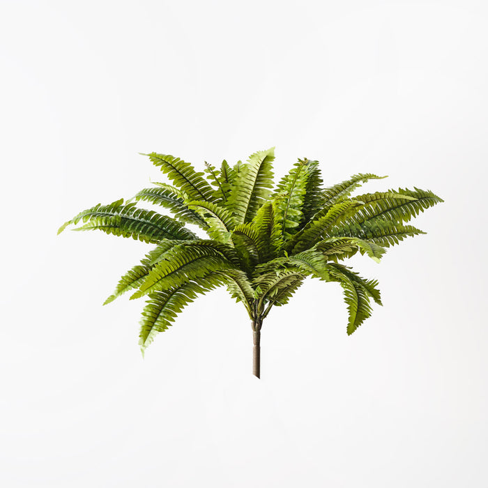 Fern Boston Bush 45cm x 100cm Green Set of 6