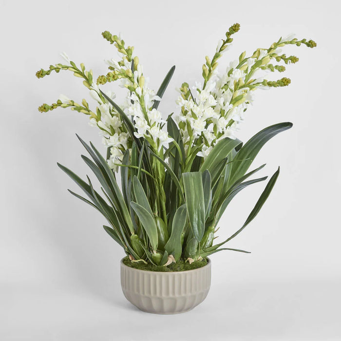 Ferne Arrangement 70cm White in Taupe Pot
