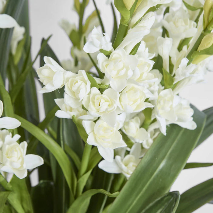 Ferne Arrangement 70cm White in Taupe Pot