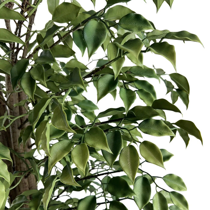Ficus Tree UV Resistant Green 180cm