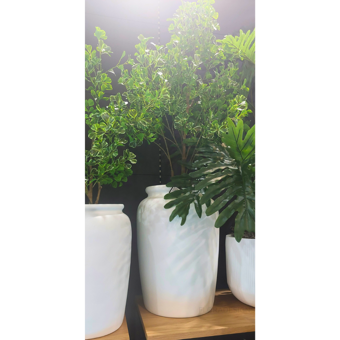 Imperial Pot White 60cm