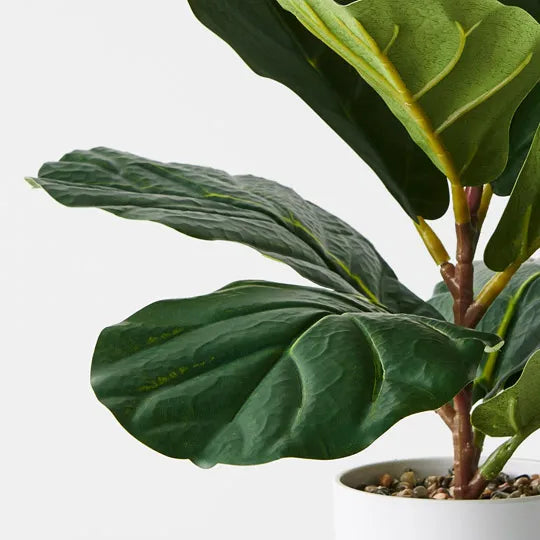 Fiddle Leaf Plant Green 33cm Pack of 4