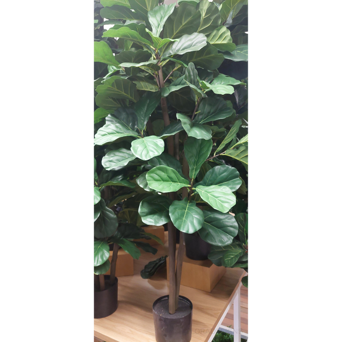 Fiddle Leaf Tree Green 153cm Pack of 2